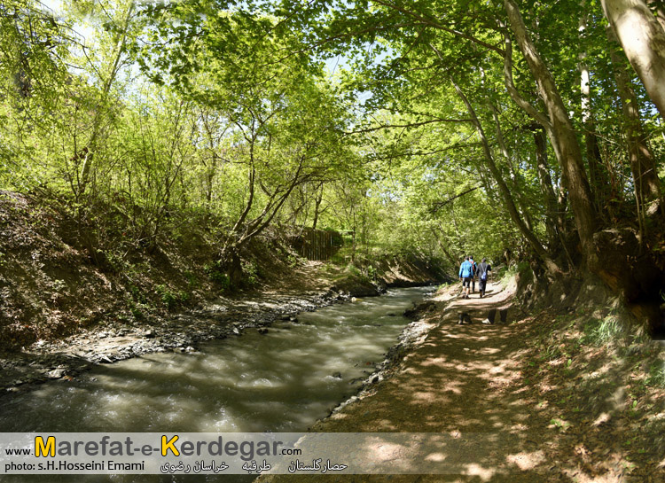 گردشگری طرقبه