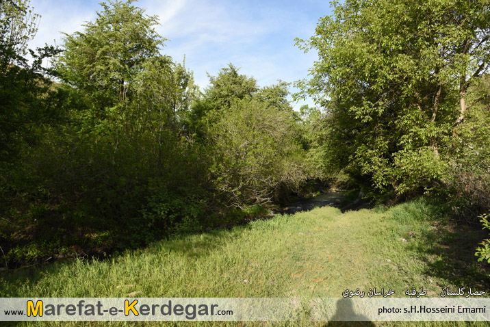 حصارگلستان حصارگلستان