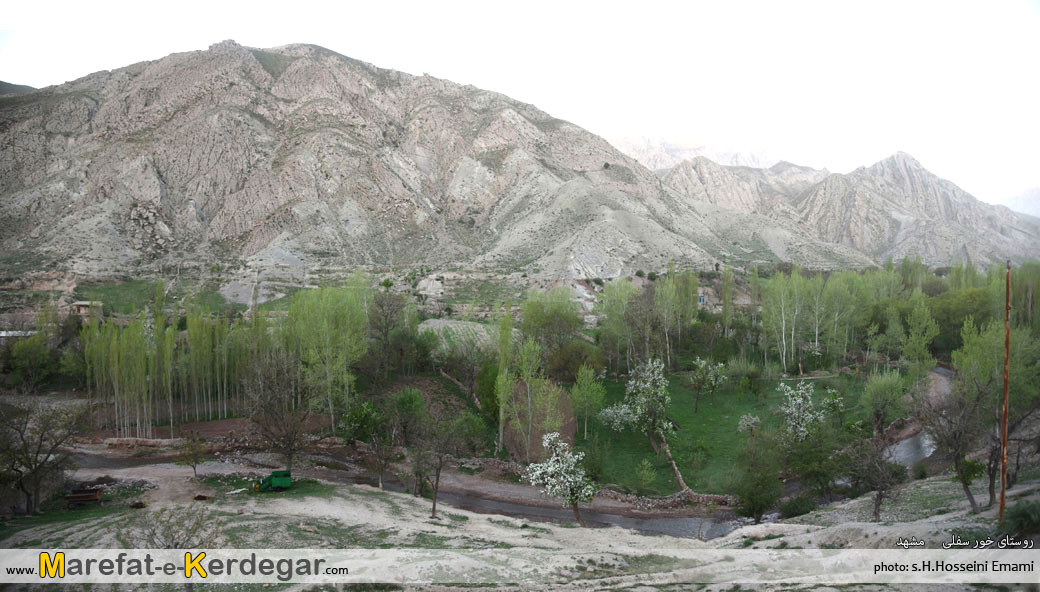 روستای خور سفلی