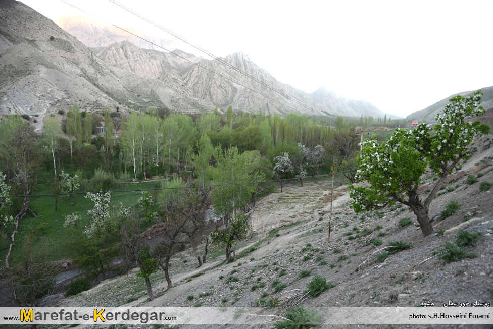 روستای خور سفلی روستای خور سفلی