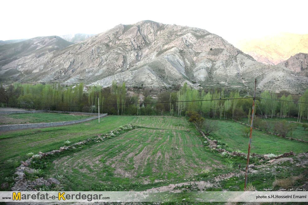 روستای خور سفلی مشهد