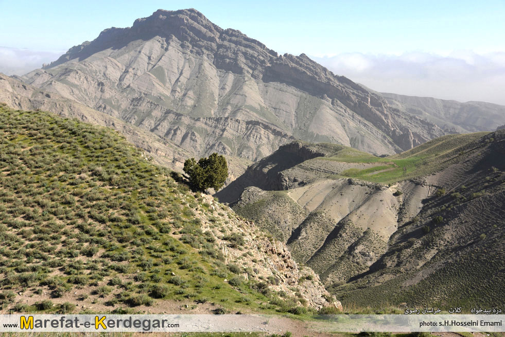 گردشگری کلات گردشگری کلات