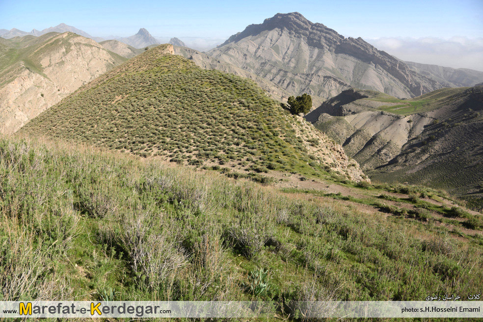 گردشگری کلات