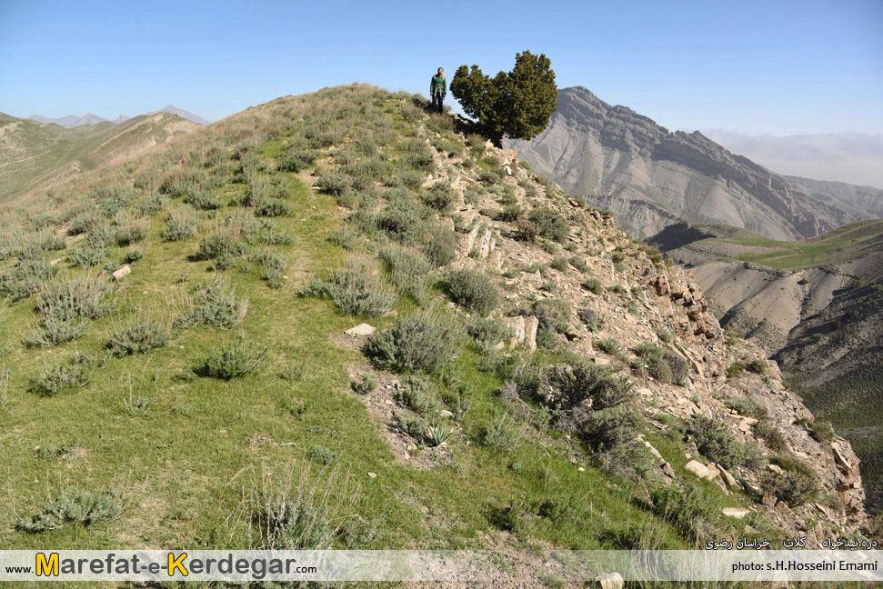 گردشگری کلات نادر