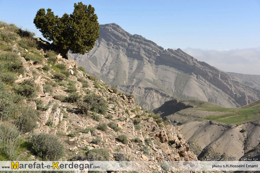 گردشگری کلات نادر