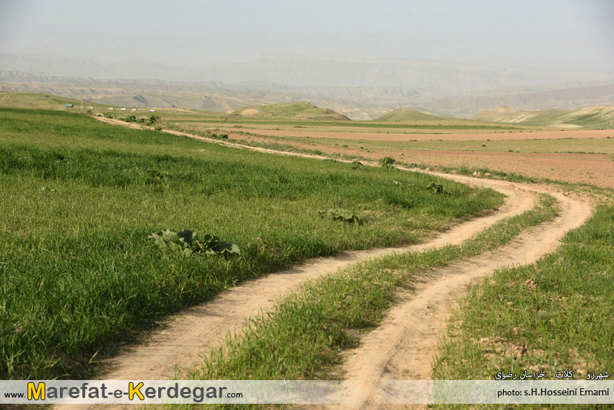 روستای چنار کلات