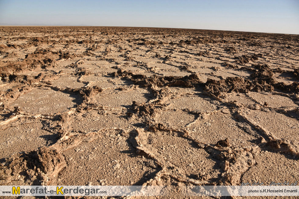 طبیعت کویری طبیعت کویری