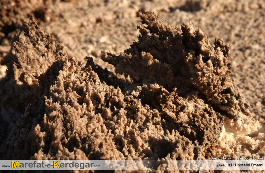 جاذبه های کویری ایران جاذبه های کویری ایران