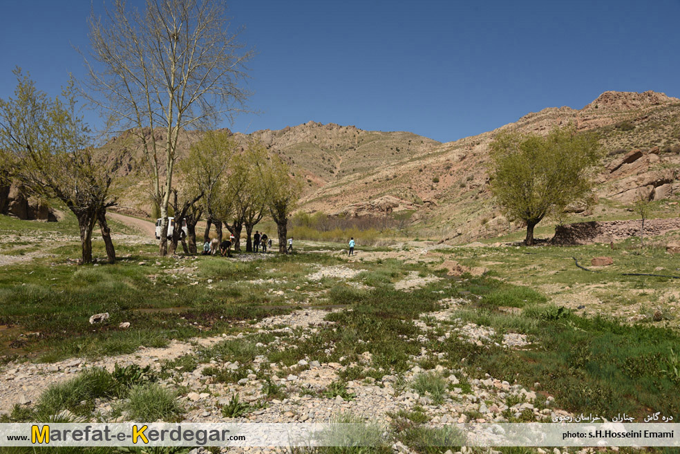 طبیعت چناران