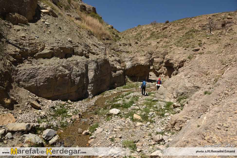 روستای گاش