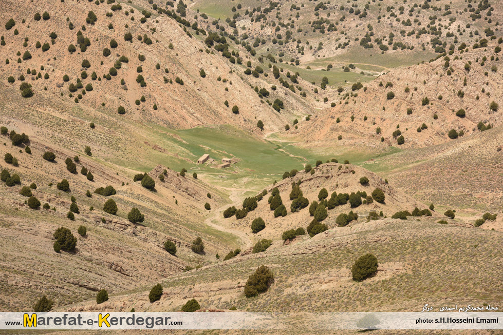 پوشش گیاهی هزارمسجد