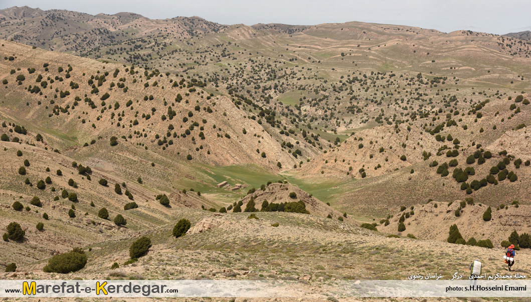 هزارمسجد گردی