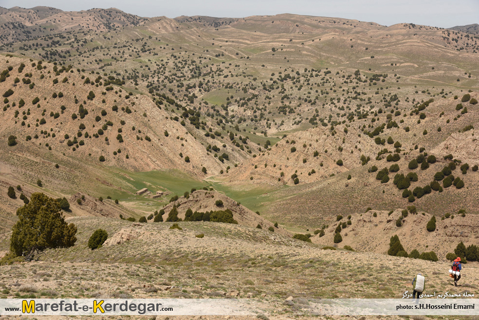 هزارمسجد گردی