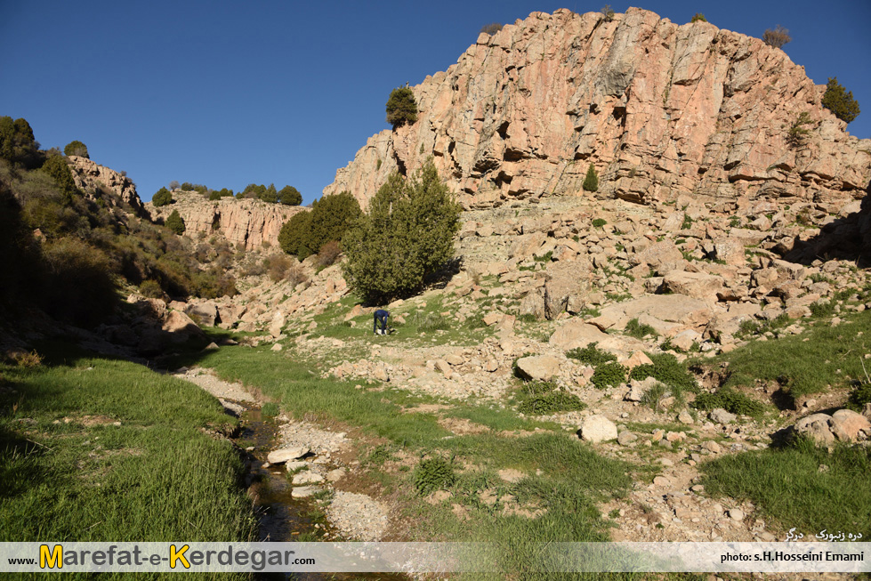 عکاسی در هزارمسجد