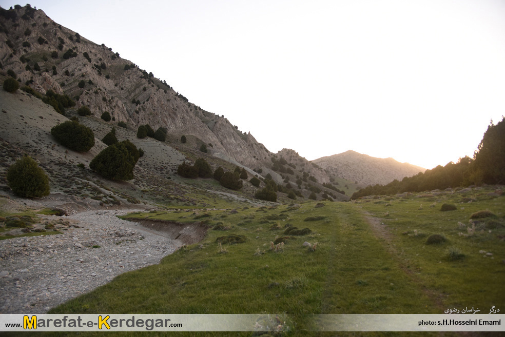 درگز گردی