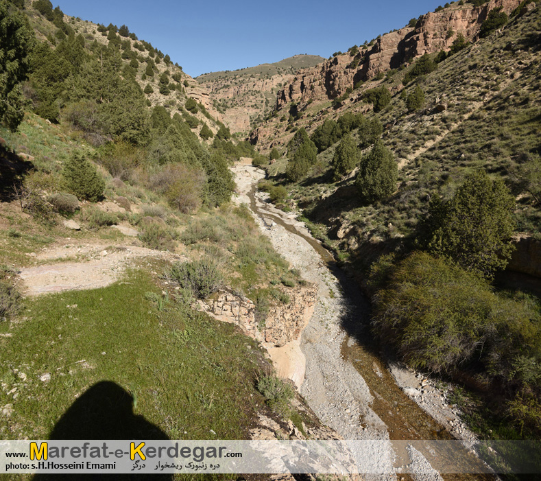 طبیعت بکر هزارمسجد