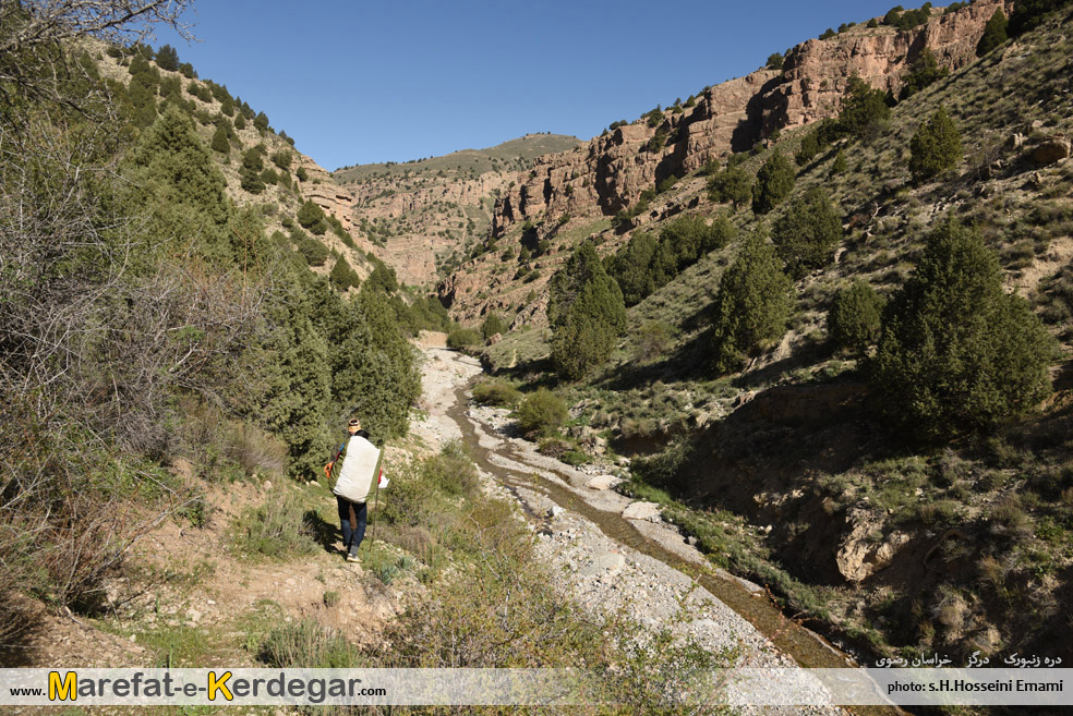 طبیعت بکر هزارمسجد