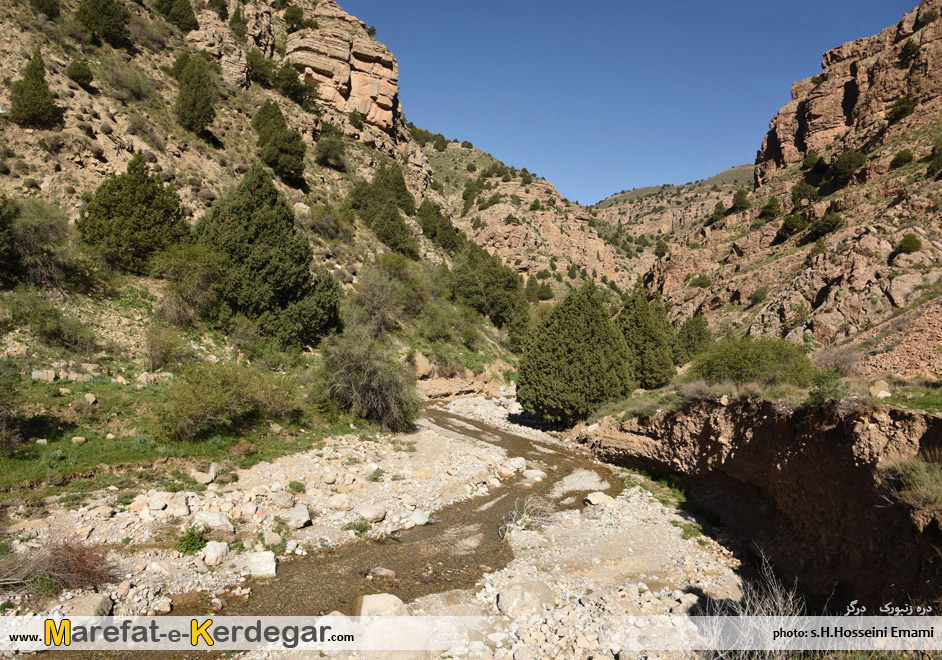 طبیعت بکر هزارمسجد