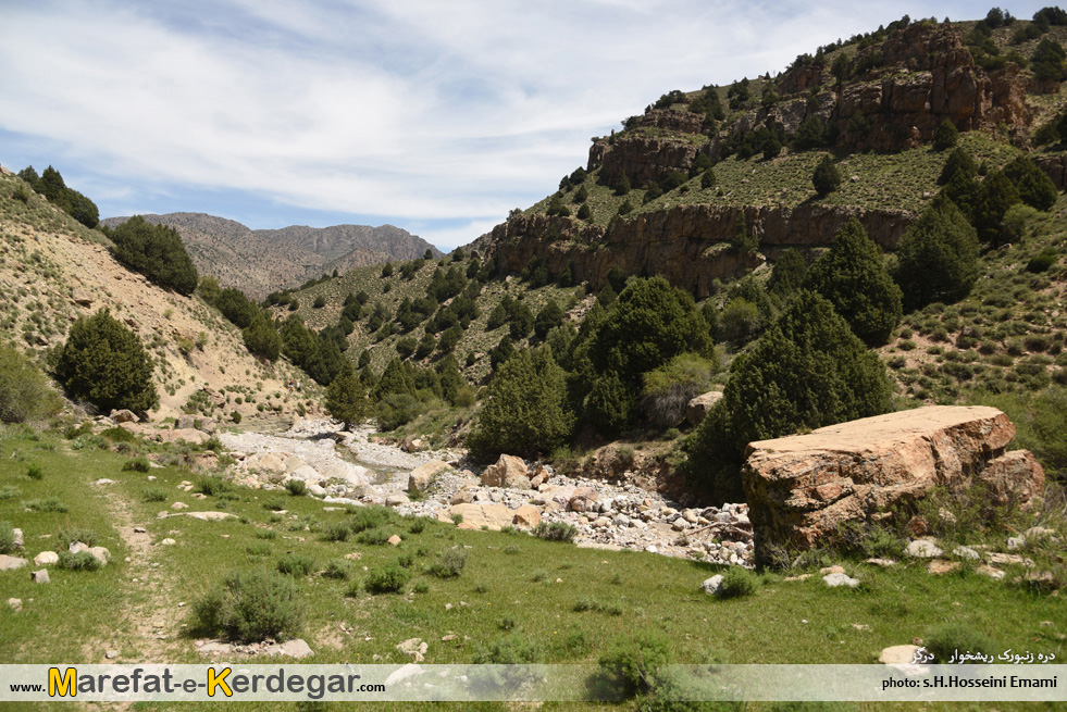 روستای ریشخوار