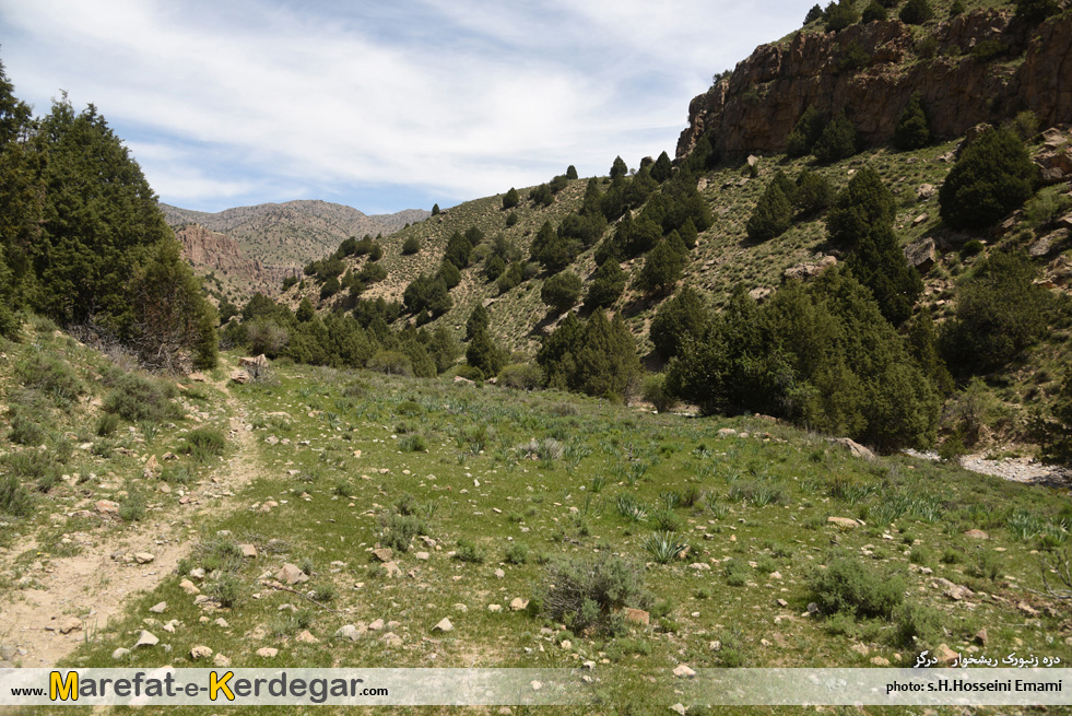 روستای ریشخوار