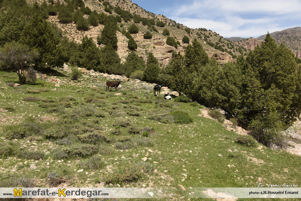 روستای ریشخوار