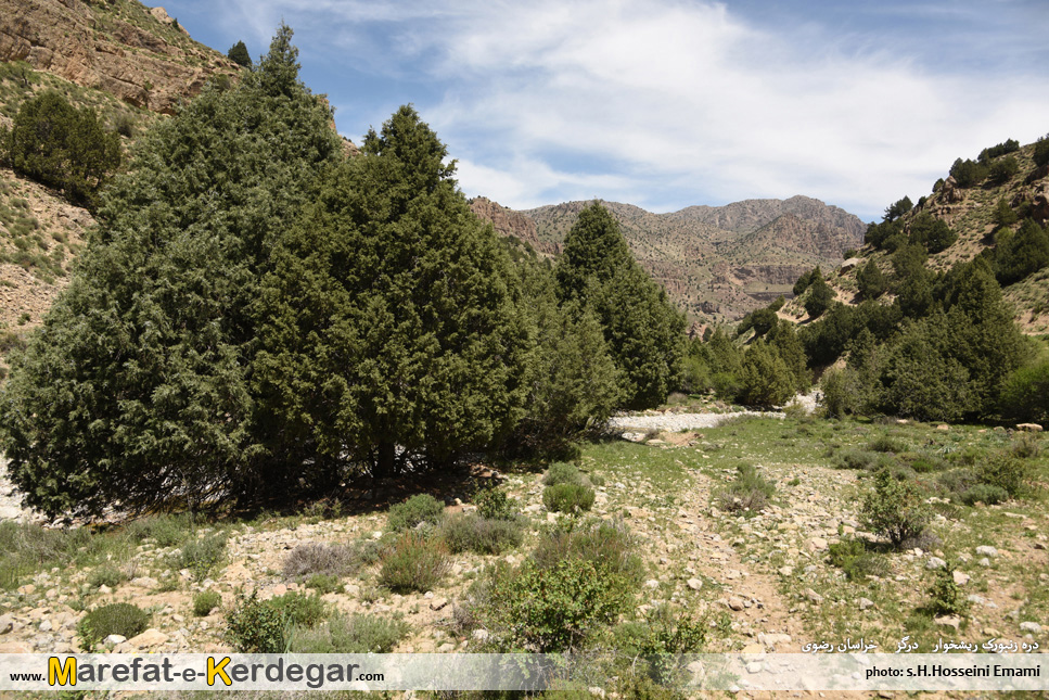 روستای ریشخوار