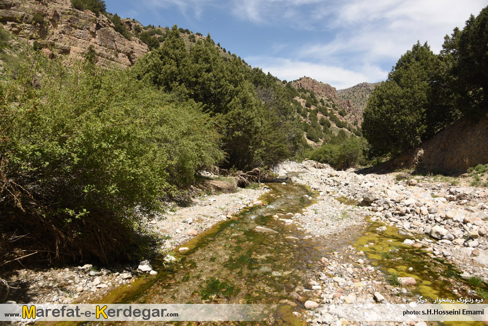 روستای ریشخوار