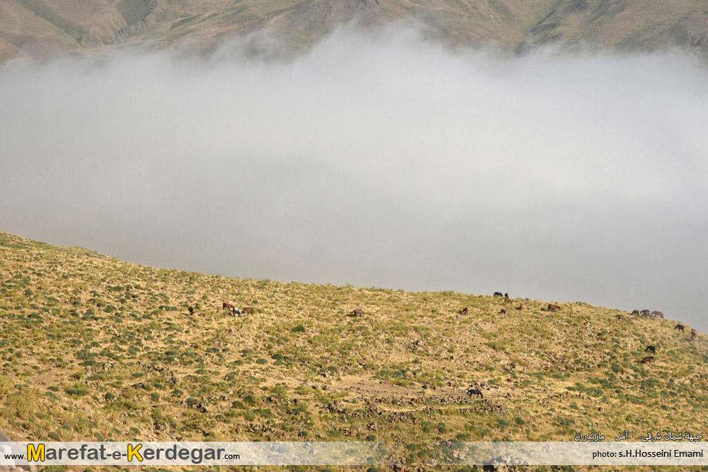 دشت ناندل دشت ناندل