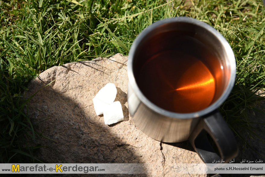 چای در قله دماوند چای در قله دماوند