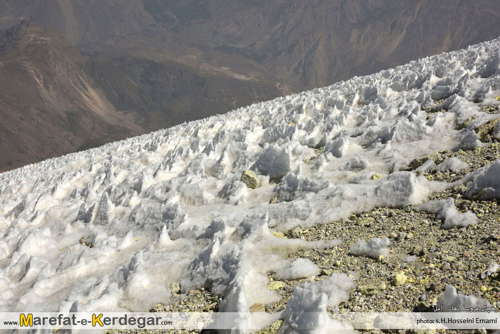 یخچال عروسک ها یخچال عروسک ها