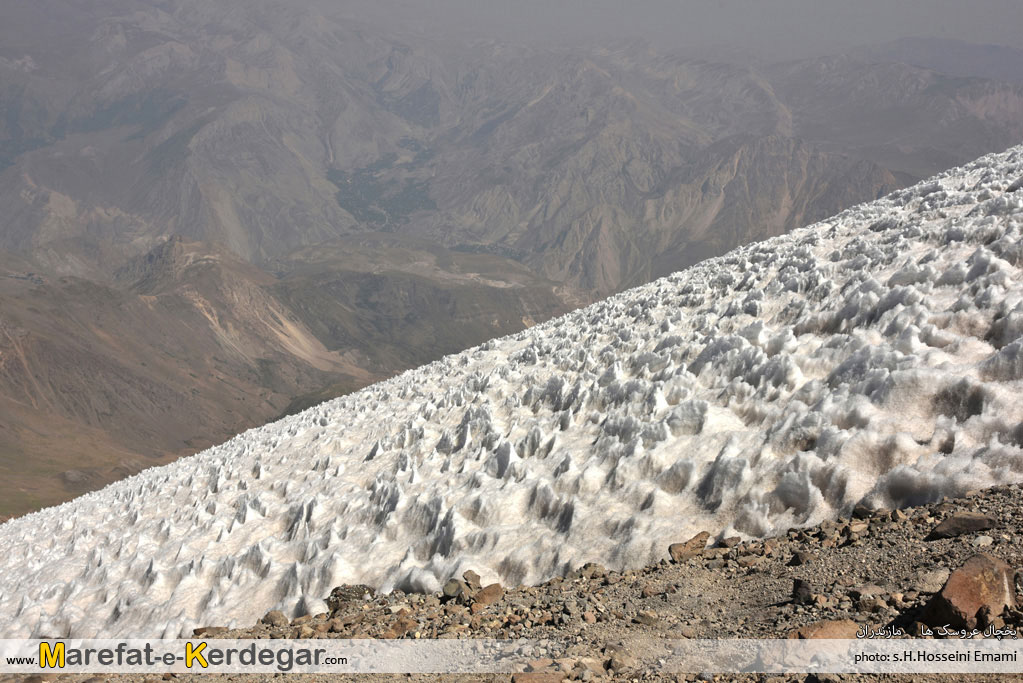 یخچال عروسک ها یخچال عروسک ها