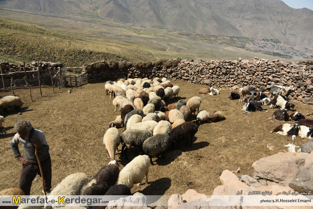 گردنه سر گردنه سر