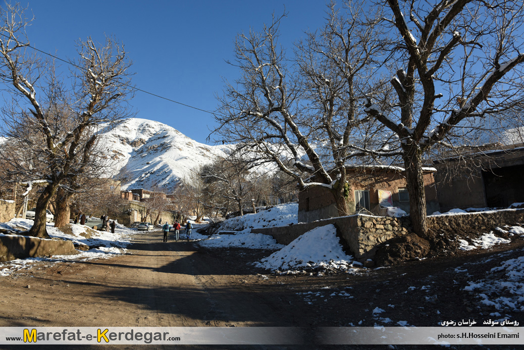 طبیعت زمستانی نیشابور طبیعت زمستانی نیشابور