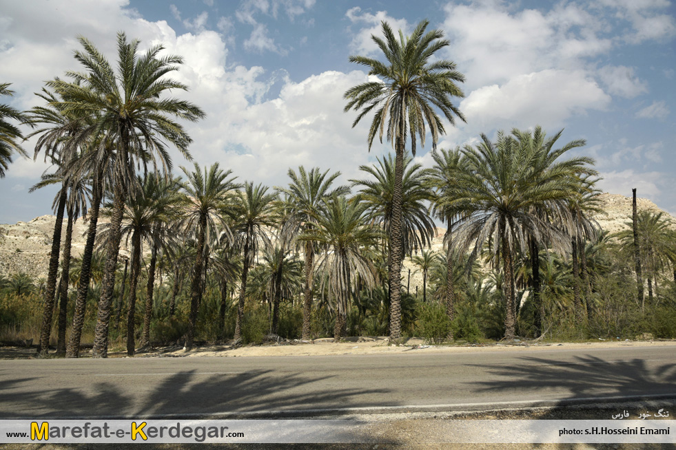 گردشگری اشکنان