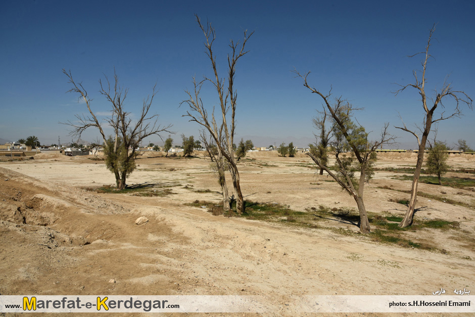 گردشگری بنارویه