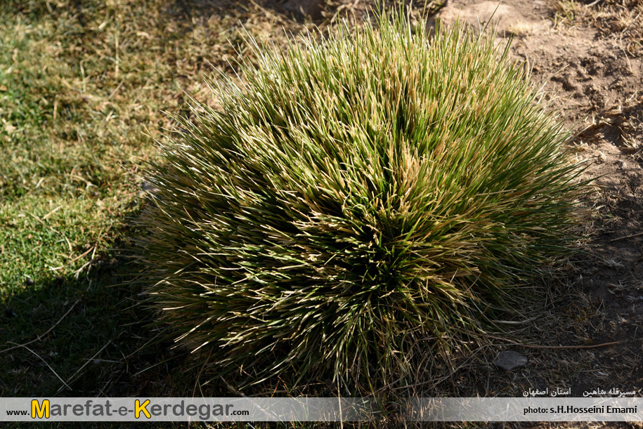 مناظر دیدنی استان اصفهان