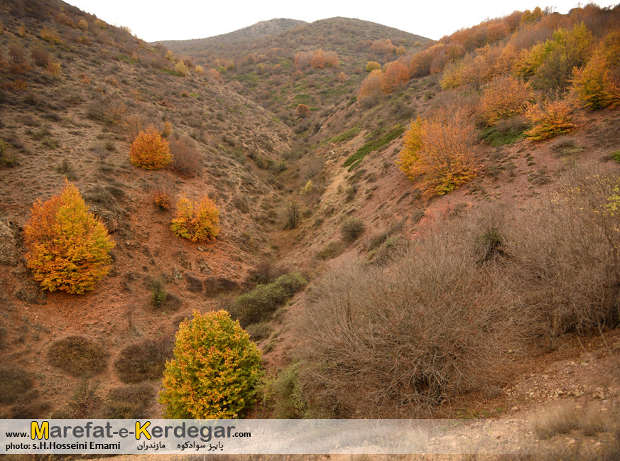 طبیعت سوادکوه