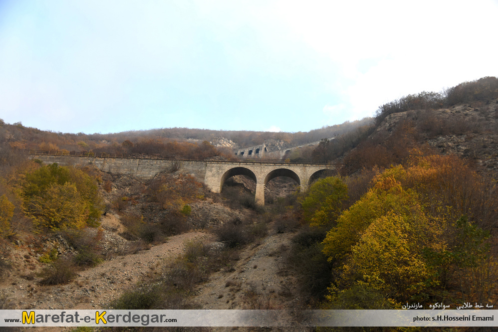 سه خط طلایی