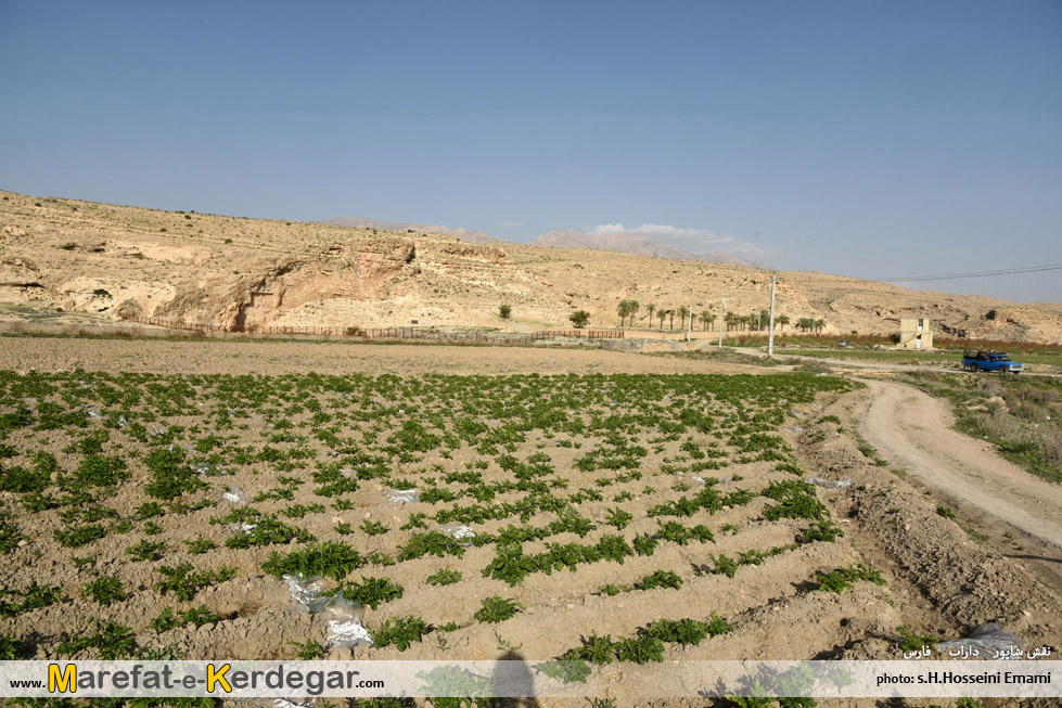 نقش برجسته های ایران