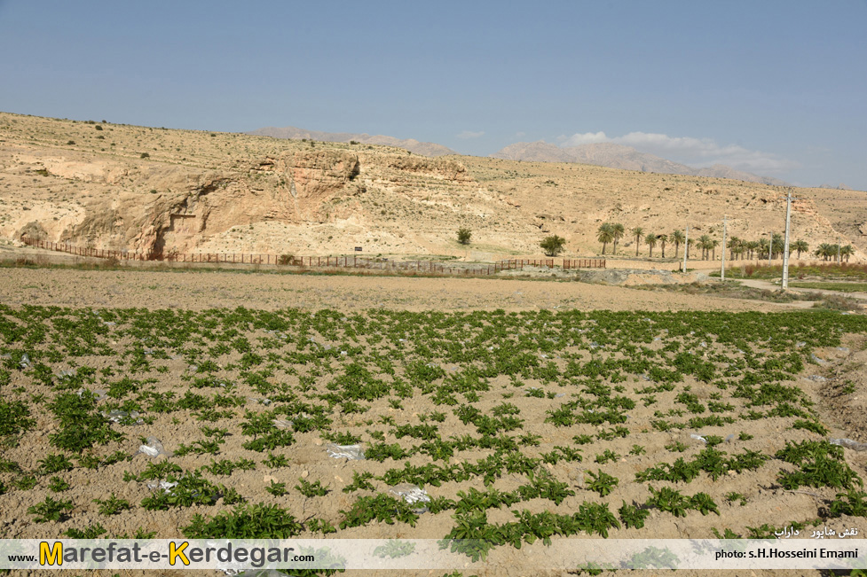 نقش برجسته های باستانی داراب