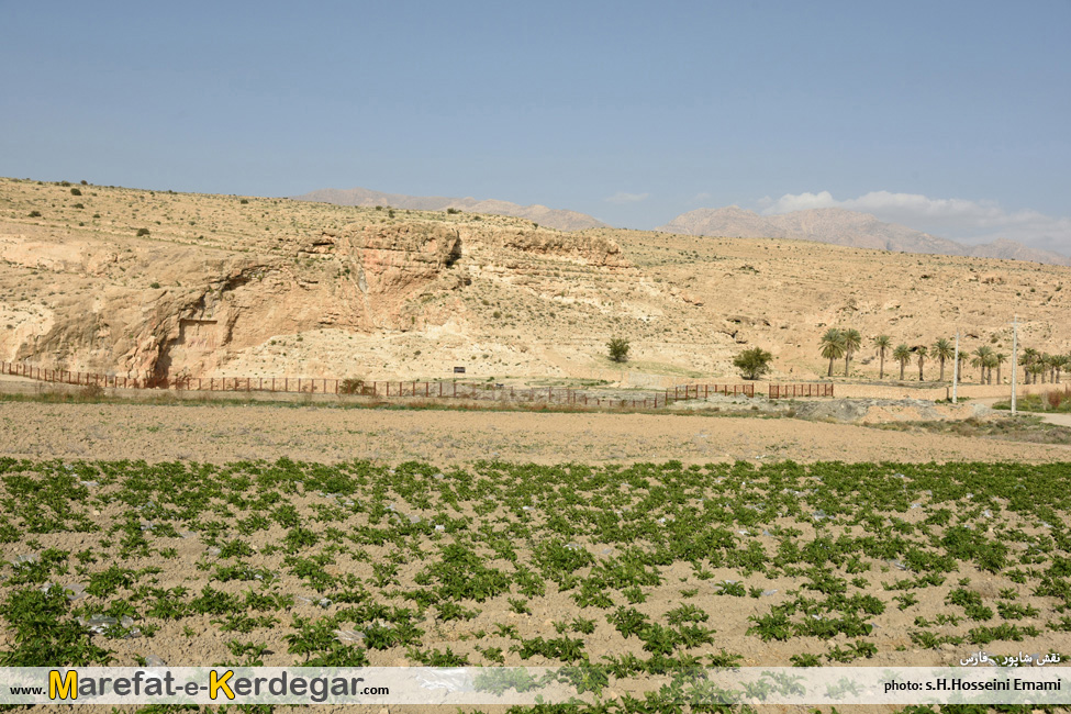 نقش برجسته های باستانی داراب