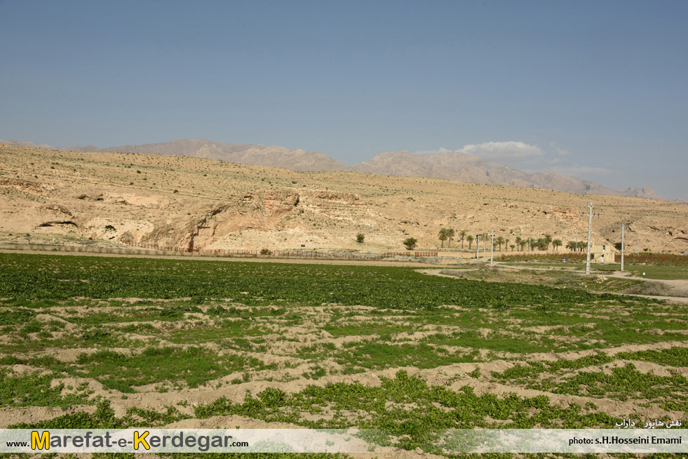 نقش برجسته های فارس