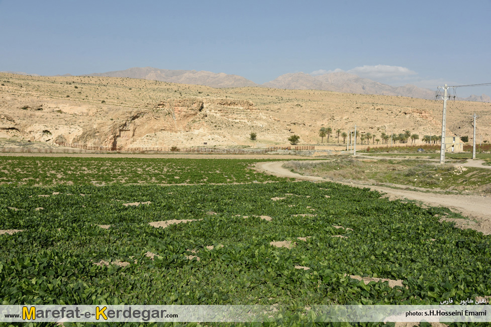 نقش برجسته های استان فارس