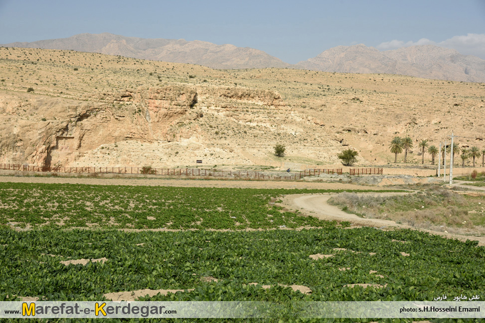 نقش برجسته های استان فارس