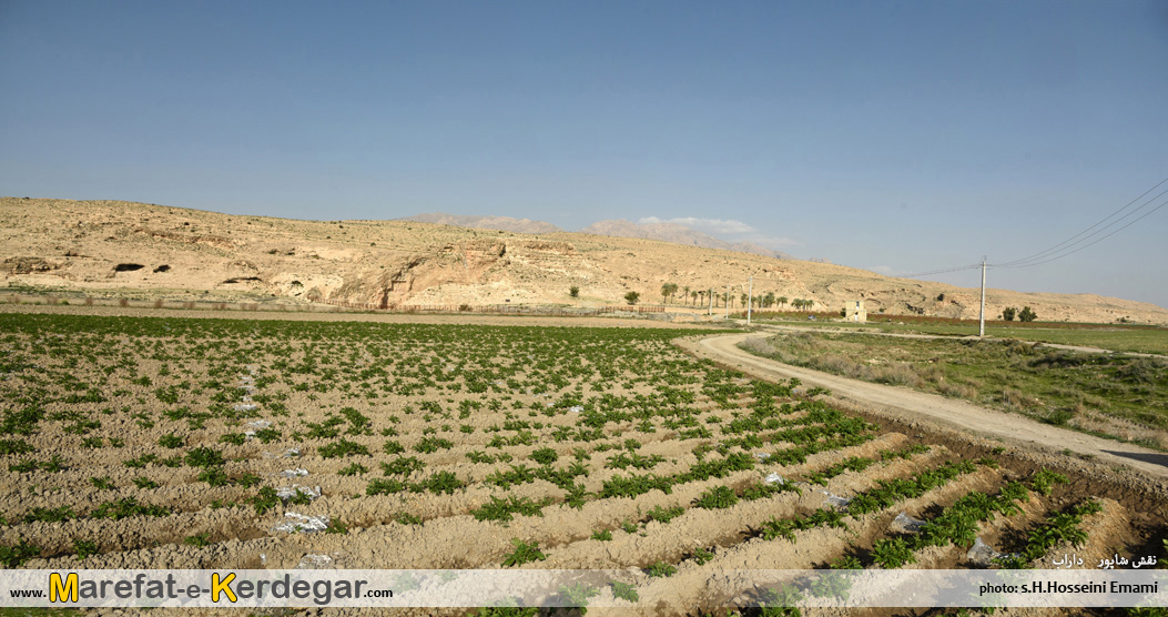 نقش برجسته های ایران