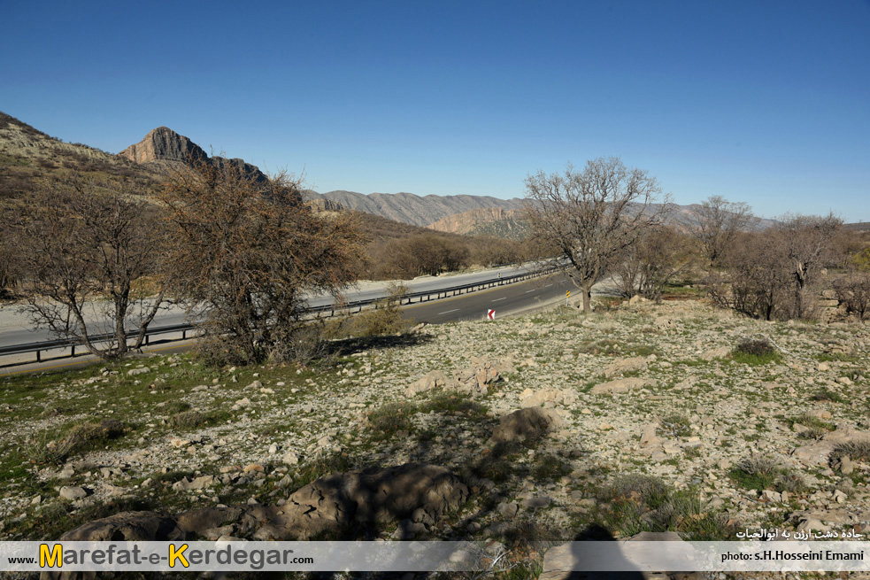 شهرستان کوه چنار