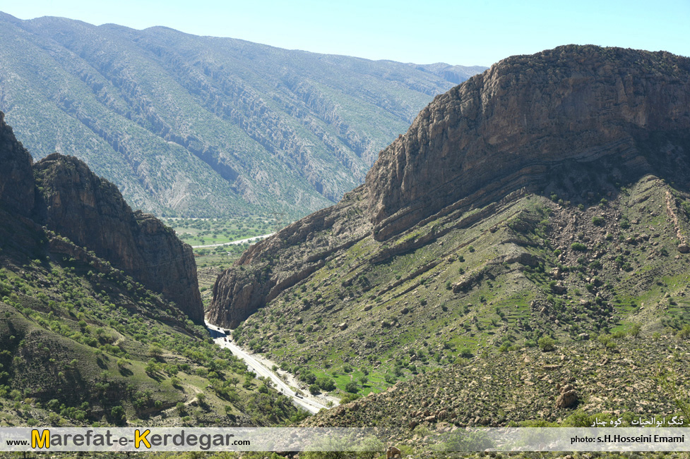 جنگل های بلوط ایران