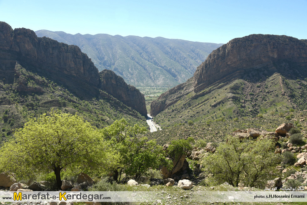 جنگل های بلوط ایران