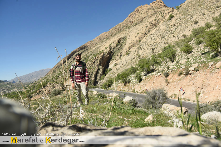 جاده شیراز قائمیه