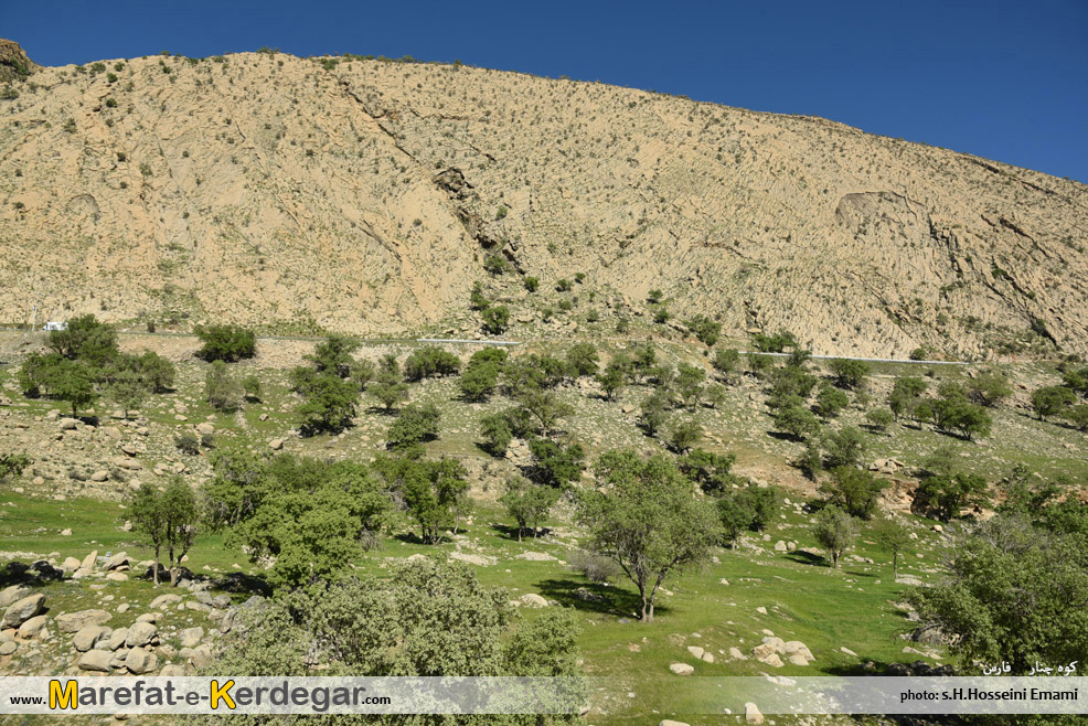 جاده قائمیه